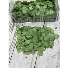 Mirayla Hobi 20 mm (2 cm) Sedef Görünümlü Pul Çanta, Supla, Patik Pulu 25 gr