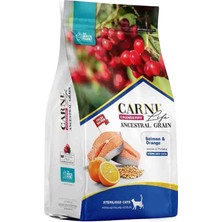 Carni Life Cranberry Ancestral Grain Somon ve Portakal Kısırlaştırılmış Kedi Maması 10KG+2KG