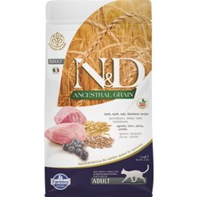 Nd Ancestral Grain Düşük Tahıllı Kuzu Eti ve Yaban Mersinli Yetişkin Kedi Maması 1,5kg