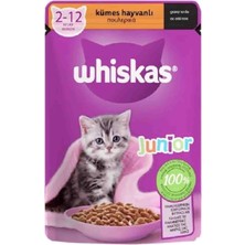 Whiskas Pouch Gravy Soslu Kümes Hayvanlı Yavru Kedi Konservesi 85GR