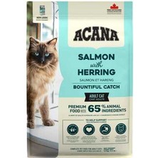 Acana Bountiful Catch Somonlu Yetişkin Kedi Maması 4,5kg