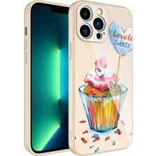 iPhone 13 Pro Kılıf Kamera Korumalı Desenli Sert Silikon Lckc Epoksi Kapak-No8