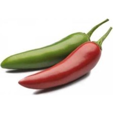 Ithal Jalapeno Kırmızı Acı Meksika Biberi Tohumu 20 Adet Tohum