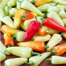 10 Adet Santa Fe Grande Acı Biber Tohumu