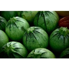ÇınarTohum 10 Adet Organik Yuvarlak Kabak Tohumu