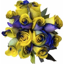 10 Adet Sarı Lacivert Gül Tohumu