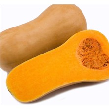 ÇınarTohum 5 Adet Pumpkin Butternut Sweet Bal Kabağı Tohumu