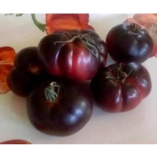 20 Adet Black Krim Domates Tohumu