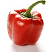 Agrobazaar Kırmızı Dolmalık Biber Tohumu 50+ Adet Tohum