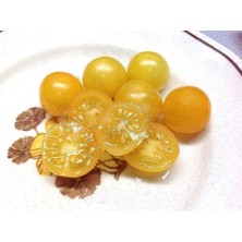 20 Adet Yellow Canary Micro Dwarf Domates Tohumu