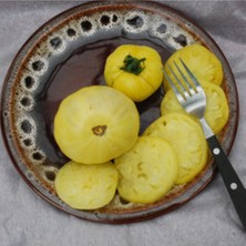 White Beauty Domates Tohumu