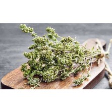 50 Adet Yediveren Kekik Tohumu