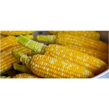 Agrobazaar Tatlı Haşlamalık Mısır Tohumu 20 + Adet Tohum