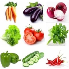 Çeşitli Sebze 9 Farklı Çeşit Sebze Tohumu 60+ Tohum