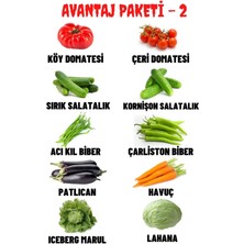 Avantaj Paketi - 2, Toplam 10 Çeşit +500 Adet Tohum