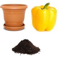 Ithal Dev Sarı Dolmalık Biber Tohumu Ekim Seti