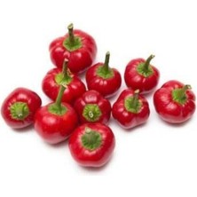 Acı Yakan Top Süs Biberi Tohumu 30 Adet Biber Tohumu