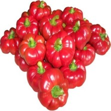 Süper Paket 100 Tohum Nadir Ithal Tatlı Domates Biberi Tohumu Biber Tohumu