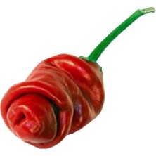 Nadir Ithal Kırmızı Acı Biber Tohumu 5 Adet Tohum