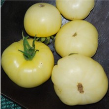 ÇınarTohum White Wonder Domates Tohumu