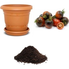 Ithal Çikolata Domates Tohumu Ekim Seti