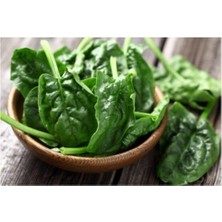 Agrobazaar Matador Ispanak 100+ Tohum