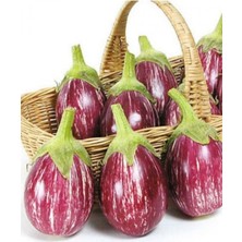 Çizgili Mor Patlıcan Tohumu 25 Adet