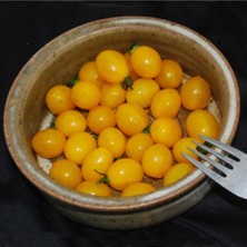 Blondkopfchen Domates Tohumu