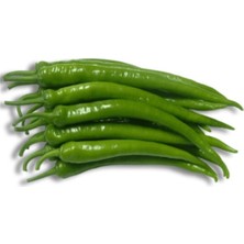 Demre Acı Biber Tohumu 20 Adet Tohum