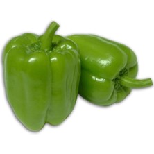 Meşhur Antep Acı Dolmalık Biber Tohumu 40 Adet Dolmalık Biberi Tohumu