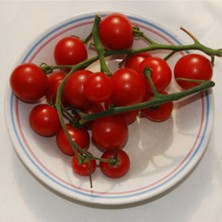 20 Adet Velvet Red Domates Tohumu