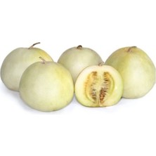 Elma Kavunu Tohumu 5 Adet Tohum  Melon Kavun Tohumu
