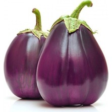 20 Adet Italyan Floransa Patlıcan Tohumu