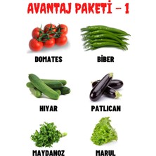 Avantaj Paketi-1 Domates, Biber, Hıyar, Patlıcan, Maydanoz, Marul Tohumları, Toplam +300 Adet Tohum