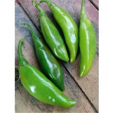 Ithal Nadir Acı Balık Biberi Tohumu 10 Adet Tohum Biber Tohumu