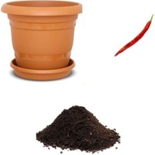 Uzun Kırmızı Tatlı Sivri Biber Tohumu Ekim Seti