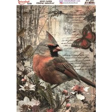 Pirinç Dekopaj Kağıdı 30X42CM PT-587 Kuş Kelebek