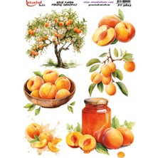 Pirinç Dekopaj Kağıdı 30X42CM PT-3823