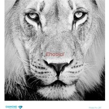 Diamond Pirinç Dekopaj Kağıdı - 287 - 30X30