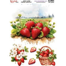 Pirinç Dekopaj Kağıdı 30X42CM PT-3761