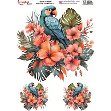 Pirinç Dekopaj Kağıdı 30X42CM PT-1821