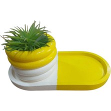 Oval Tabaklı Silindir Saksı Sarı Beyaz 18X9,5CM