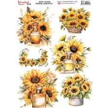 Pirinç Dekopaj Kağıdı 30X42CM PT-1457