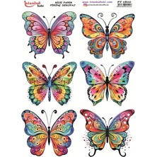 Pirinç Dekopaj Kağıdı 30X42CM PT-1800