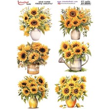 Pirinç Dekopaj Kağıdı 30X42CM PT-1482