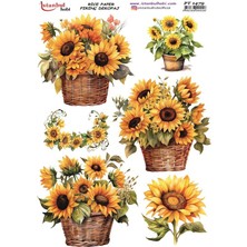 Ehobici Pirinç Dekopaj Kağıdı 30X42CM PT-1479