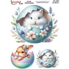 Ehobici Sulu Transfer Kağıdı 25X35CM ST-1504