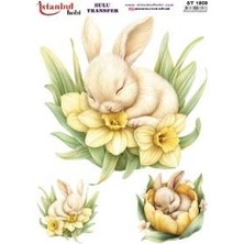 Ehobici Sulu Transfer Kağıdı 25X35CM ST-1859