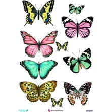 Ehobici Diamond Pirinç Dekopaj Kağıdı - 5343