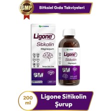 Asfstore Ligone Sitikolin Şurup 200 ml